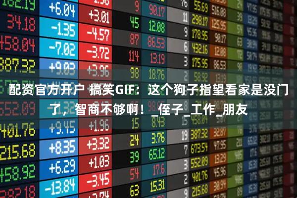 配资官方开户 搞笑GIF：这个狗子指望看家是没门了，智商不够啊！_侄子_工作_朋友