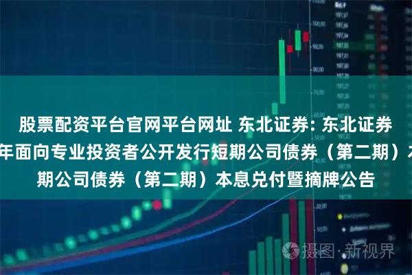 股票配资平台官网平台网址 东北证券: 东北证券股份有限公司2025年面向专业投资者公开发行短期公司债券（第二期）本息兑付暨摘牌公告